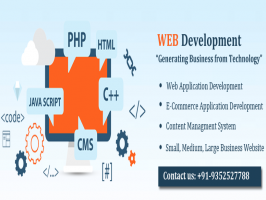 Web Development Services Web Development Services