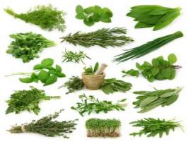 Natural Herbs Natural Herbs